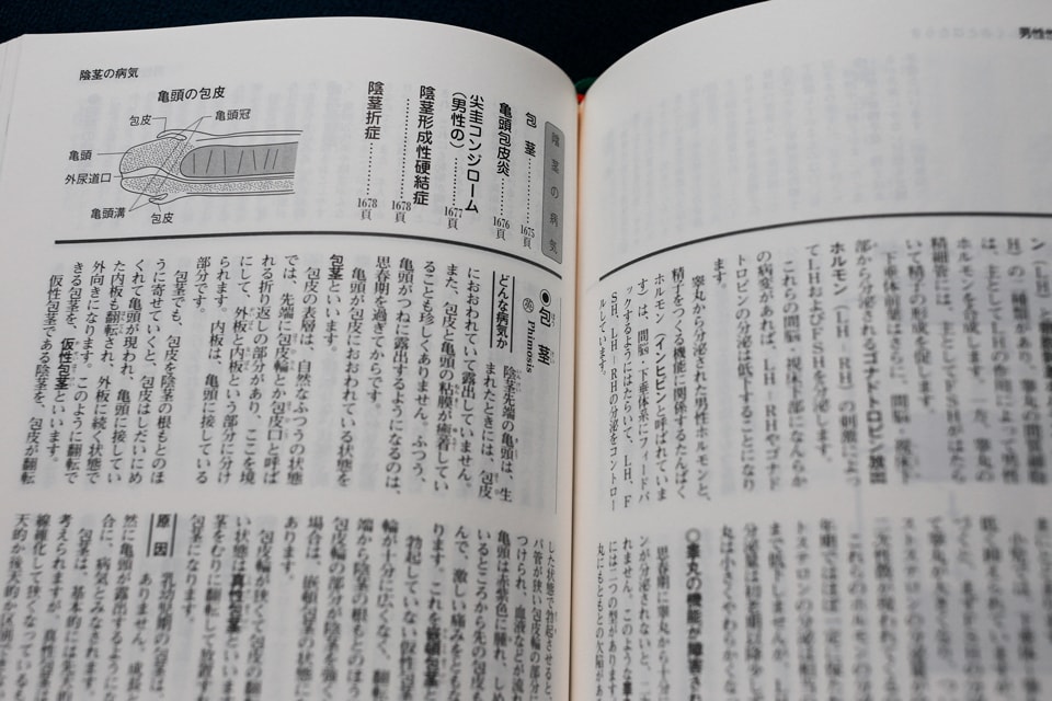 「包茎」のページ