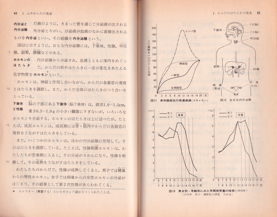 下垂体、性腺刺激ホルモンについて
