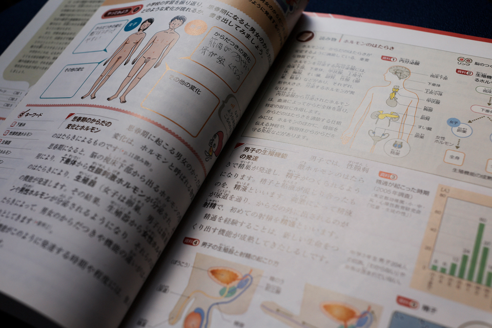 生殖機能の成熟