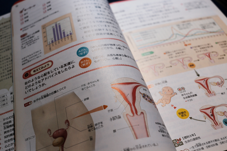 女子の生殖機能の発達